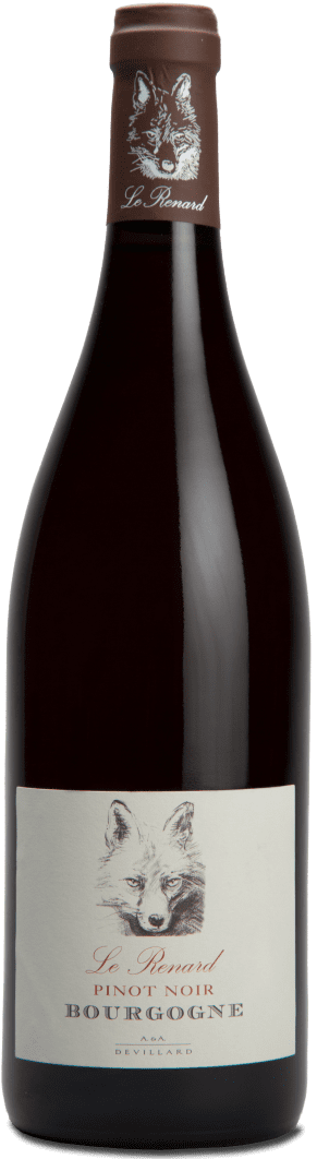 Bourgogne Pinot Noir